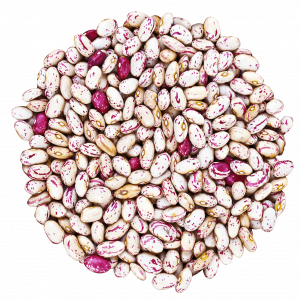 Borlotti 02