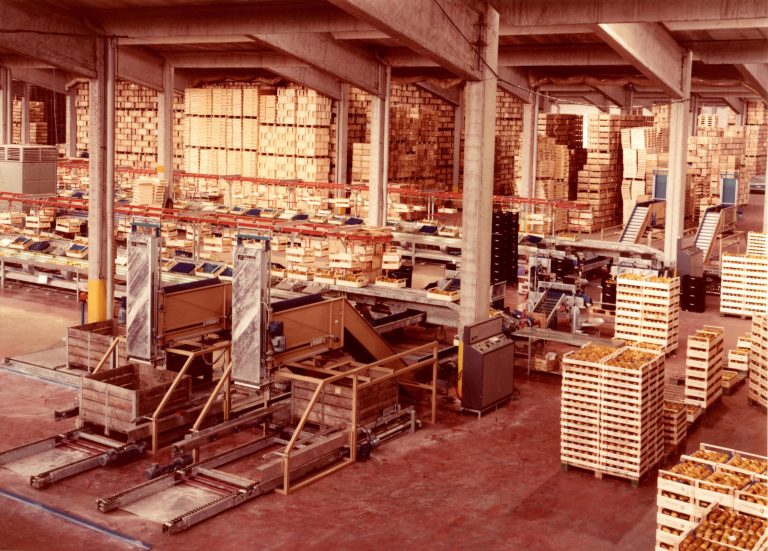 Foto chi siamo carosello 02