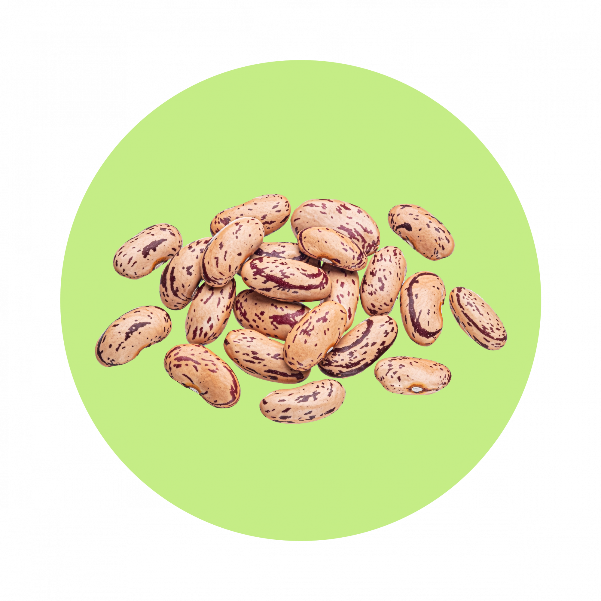 Borlotti cerchio verde-02