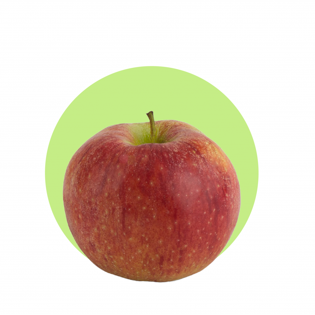 Mela Imperatore def_Tavola disegno 1