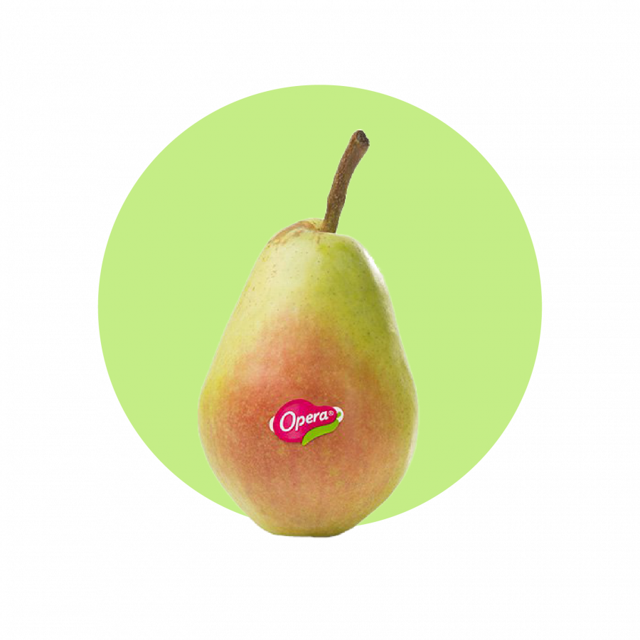 Pera 3 cerchio_Tavola disegno 1