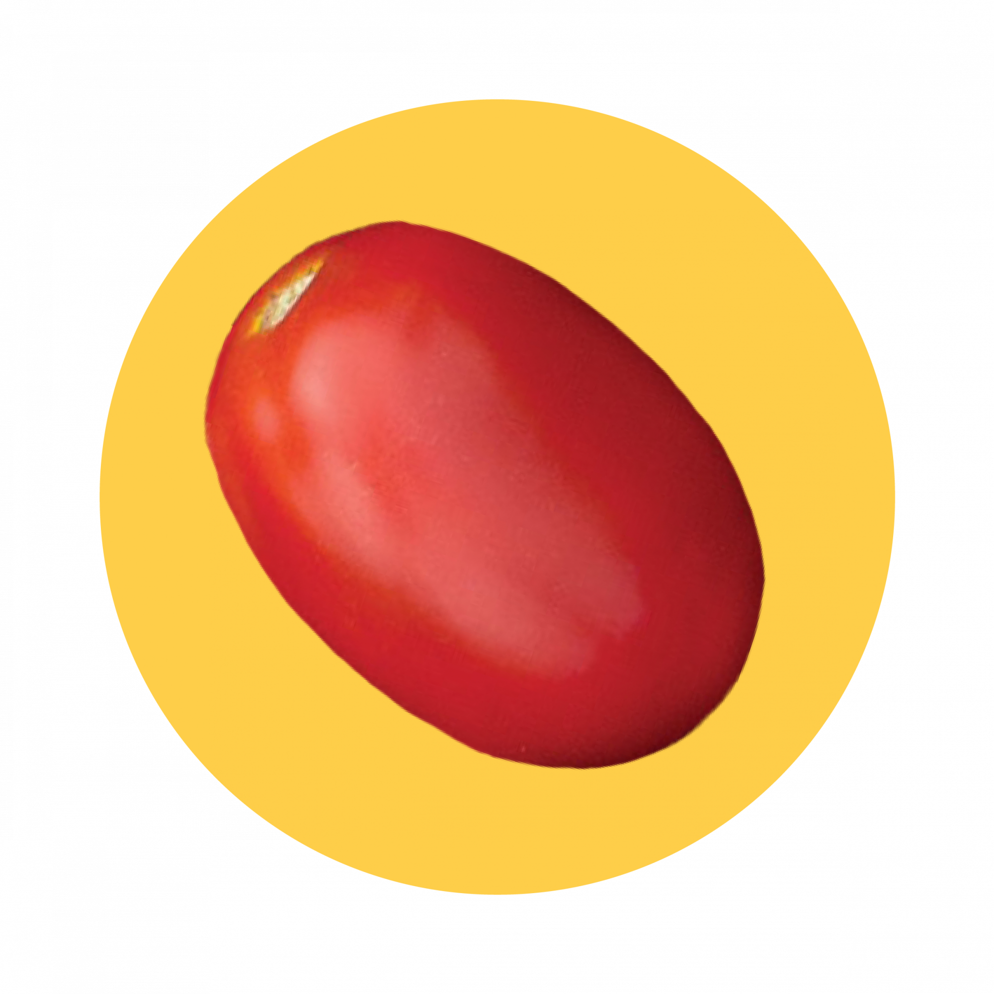 Pomodoro con sfondo giallo-02